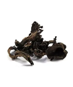 dried-black-trumpet-mushroom. Dried Black Trumpet Mushroom