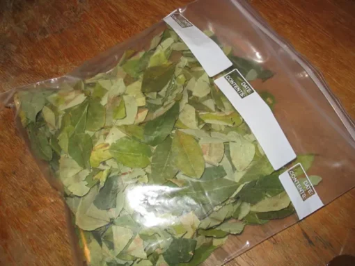 buy-coca-leaves-online. Buy Coca Leaves Online