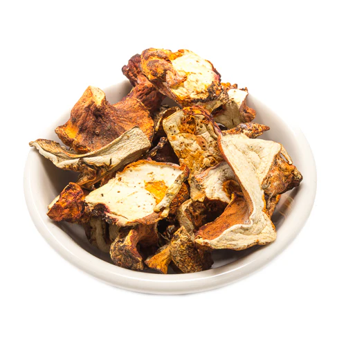 dried-lobster-mushroom. Dried Lobster Mushroom dried-lobster-mushroom. Dried Lobster Mushroom