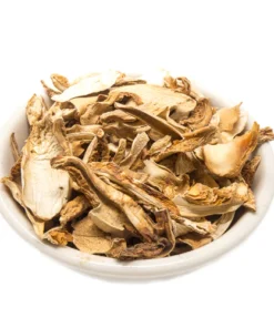 matsutake-mushroom. Matsutake Mushroom