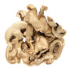 dried-button-mushrooms. Dried Button Mushrooms