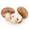 agaricus-bisporus. Agaricus Bisporus.