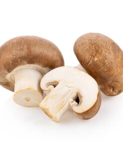 agaricus-bisporus. Agaricus Bisporus.