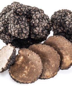 truffle-mushroom. Truffle Mushroom
