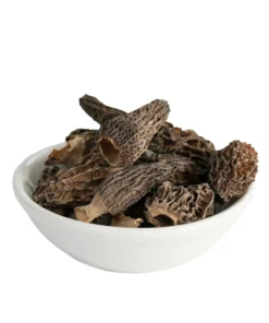 dried-morel-mushrooms. Dried Morel Mushrooms