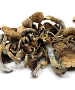 mushrooms'