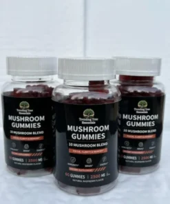 Mushroom Gummies – 10 Blend (60 count)