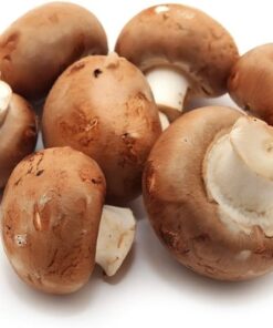 amazon-mushrooms. Amazon Mushrooms